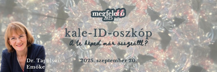 MegfelelNő Konferencia Érden